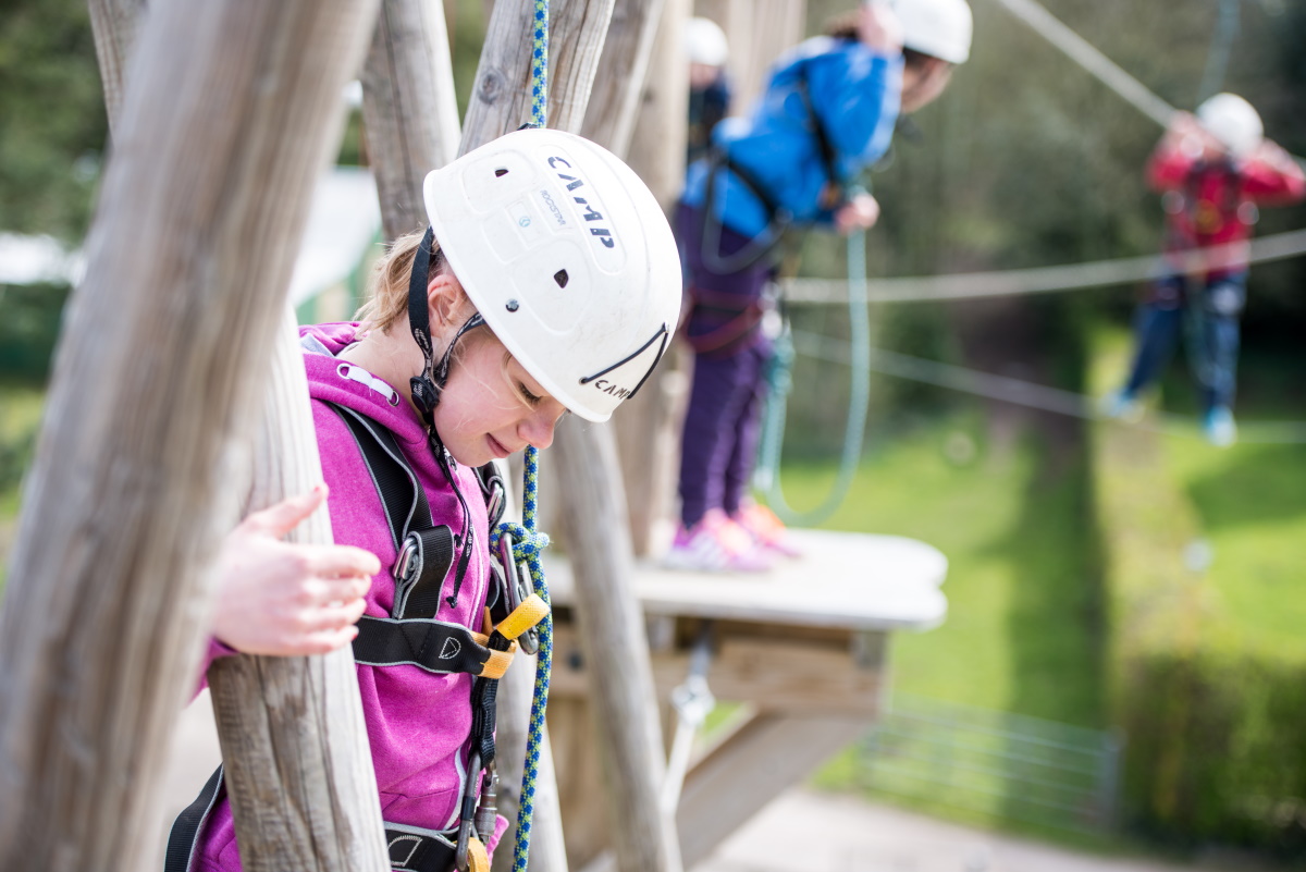 Image of Cubs on a high ropes course